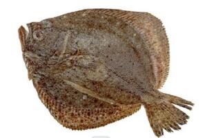 蓬莱地生子 - 和风乐游农庄