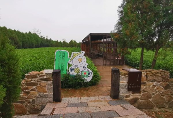云过山丘茶旅文化园(图2)