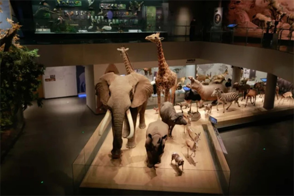 浙江自然博物馆安吉馆亲子游攻略，探索亚洲最大自然博物馆奇妙体验-和风乐游农庄(图1)