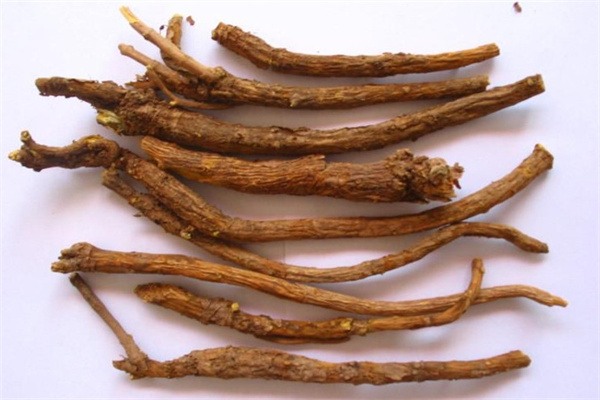 莒县黄芩(图2) 莒县黄芩(图2)