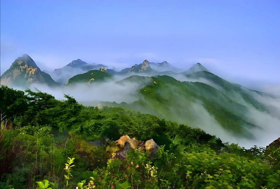 威海小众旅游攻略：探秘90%游客不知的海边秘境-和风乐游农庄(图4)