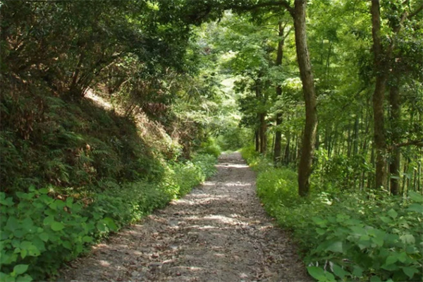 探秘安吉菖蒲谷夏日清凉胜地,瀑布潭水间的自然秘境-和风乐游农庄(图1) 探秘安吉菖蒲谷夏日清凉胜地,瀑布潭水间的自然秘境-和风乐游农庄(图1)