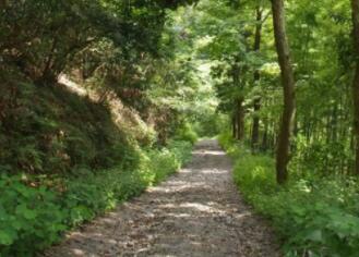 探秘安吉菖蒲谷夏日清凉胜地，瀑布潭水间的自然秘境-和风乐游农庄 - 和风乐游农庄