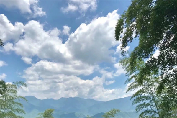 探秘安吉菖蒲谷夏日清凉胜地,瀑布潭水间的自然秘境-和风乐游农庄(图2) 探秘安吉菖蒲谷夏日清凉胜地,瀑布潭水间的自然秘境-和风乐游农庄(图2)