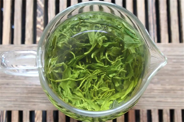 日照绿茶(图3) 日照绿茶(图3)