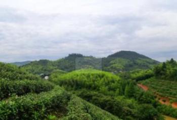 安吉竹海民宿拾光凡尘 静谧自然的山居度假体验-和风乐游农庄 - 和风乐游农庄