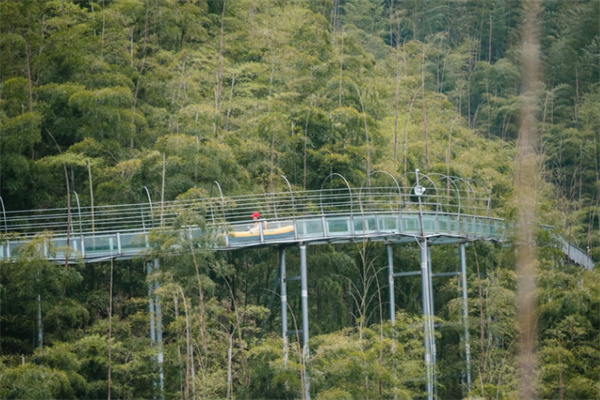 安吉星潮营地夏日游玩攻略，竹海漂流亲子游好去处-和风乐游农庄(图3)