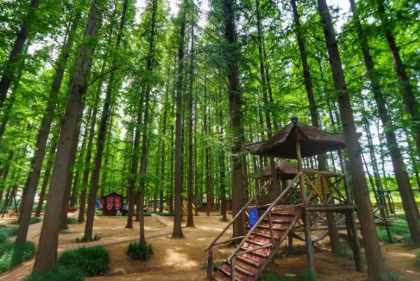 海滨国家森林公园(图3)