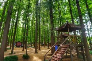 海滨国家森林公园 - 和风乐游农庄