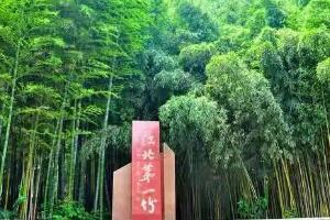 竹洞天 - 和风乐游农庄