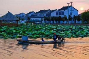 莲花岛 - 和风乐游农庄