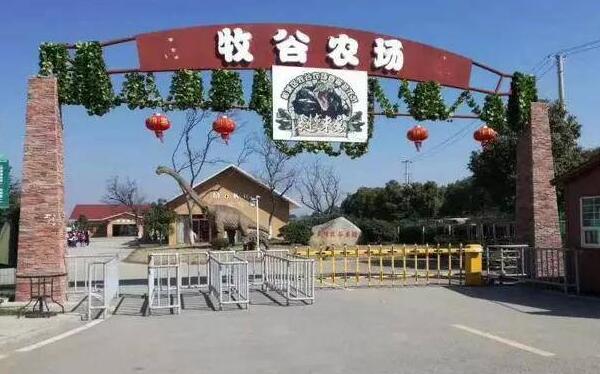 北桥灵峰牧谷农场(图1)