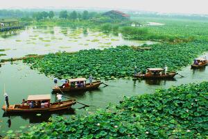 荷塘月色湿地公园 - 和风乐游农庄