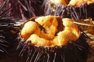 长岛海胆 - 和风乐游农庄