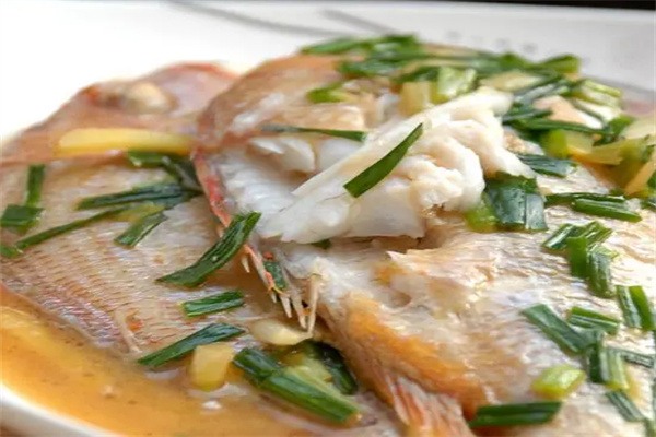 蓬莱加吉鱼(图3)