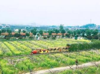 安吉亲子游好去处，赏花采摘体验田园乐趣-和风乐游农庄 - 和风乐游农庄