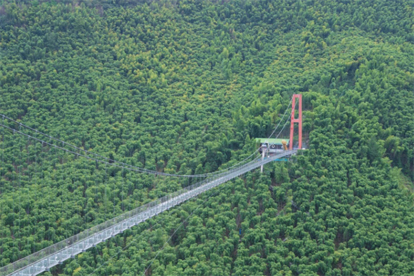 安吉竹海探秘之旅：感受毛竹壮丽风光与自然魅力-和风乐游农庄(图2)