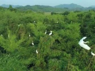 中南百草园欢乐世界体验 自然生态与娱乐设施完美融合-和风乐游农庄 - 和风乐游农庄