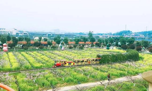 安吉亲子游好去处,赏花采摘体验田园乐趣-和风乐游农庄(图1) 安吉亲子游好去处,赏花采摘体验田园乐趣-和风乐游农庄(图1)