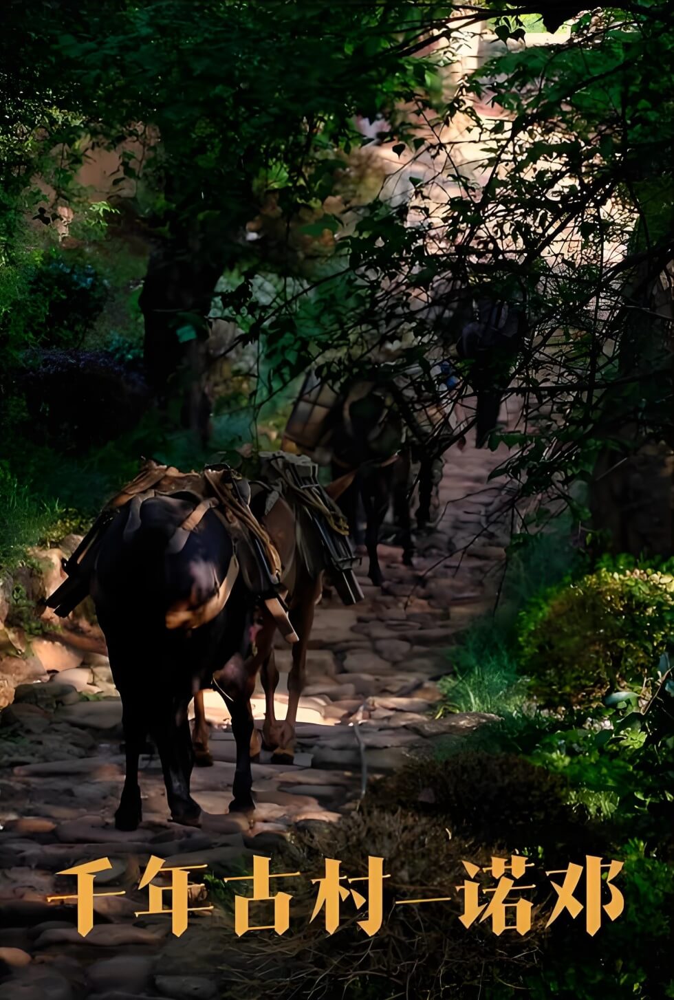 云南诺邓古村徒步攻略：千年白族村落与火腿文化探秘-和风乐游农庄(图2)