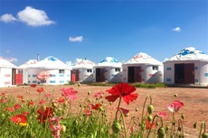 金莲花山庄 - 和风乐游农庄