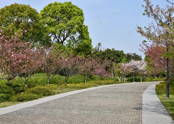 中国花卉植物园(图2)