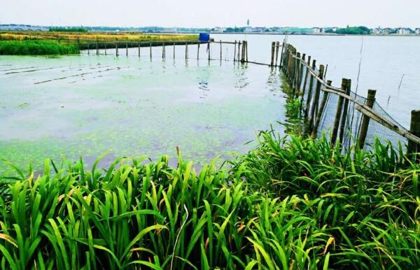 明镜荡水利风景区(图2)