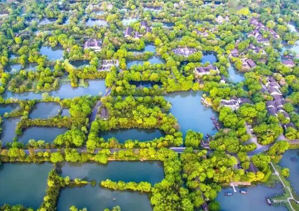 西溪国家湿地公园(图1)