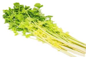 马家沟芹菜 - 和风乐游农庄