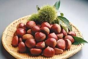 莱西大板栗 - 和风乐游农庄