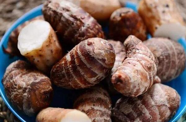 白庙芋头(图2) 白庙芋头(图2)