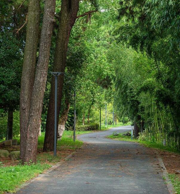 安吉竹博园游玩攻略,396种竹子尽览竹海风光-和风乐游农庄(图3) 安吉竹博园游玩攻略,396种竹子尽览竹海风光-和风乐游农庄(图3)