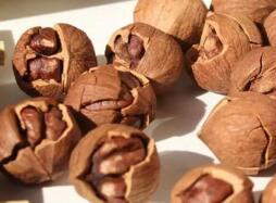 安吉特产山核桃的营养价值与健康益处解析-和风乐游农庄 - 和风乐游农庄