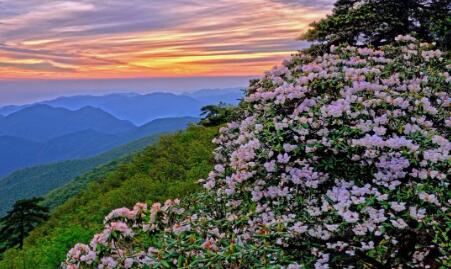 安吉十二时辰美景全攻略，从晨曦到夜幕的诗意时光-和风乐游农庄(图2)