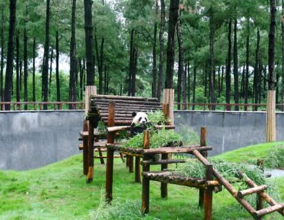 安吉十二时辰美景全攻略，从晨曦到夜幕的诗意时光-和风乐游农庄(图6)