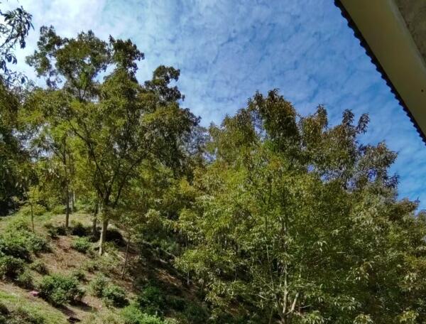 安吉大溪村农家乐体验纯天然田园生活-和风乐游农庄(图8)