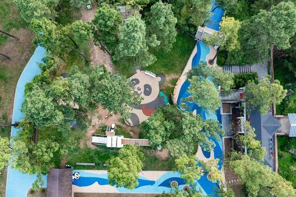 安吉竹博园游玩攻略,396种竹子尽览竹海风光-和风乐游农庄(图6) 安吉竹博园游玩攻略,396种竹子尽览竹海风光-和风乐游农庄(图6)