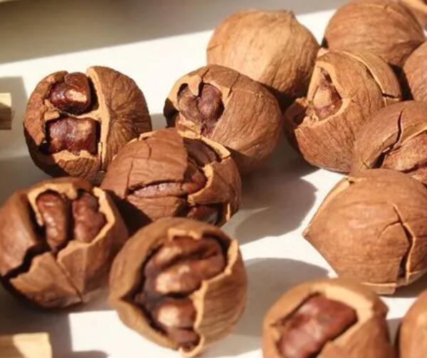 安吉特产山核桃的营养价值与健康益处解析-和风乐游农庄(图4) 安吉特产山核桃的营养价值与健康益处解析-和风乐游农庄(图4)