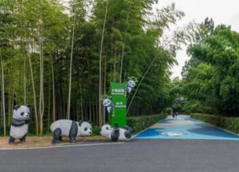 安吉竹博园游玩攻略，396种竹子尽览竹海风光-和风乐游农庄 - 和风乐游农庄