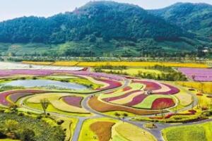 径山花海 - 和风乐游农庄