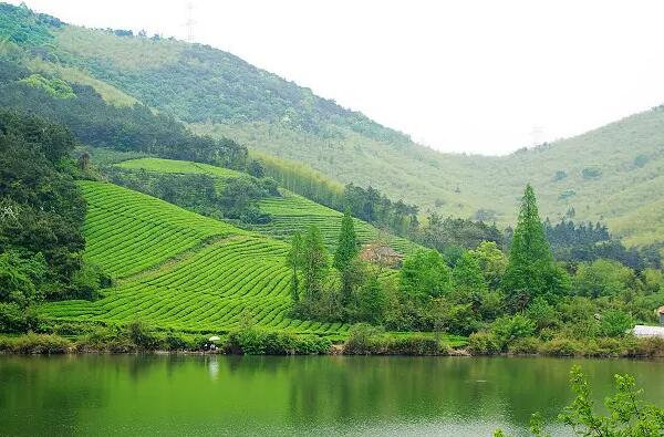 东明山森林公园(图2)