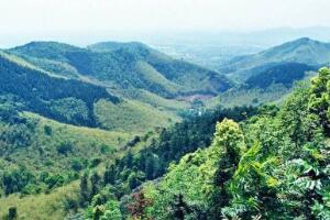 东明山森林公园 - 和风乐游农庄