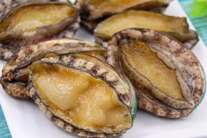 崂山鲍鱼 - 和风乐游农庄