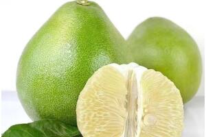 蜜柚 - 和风乐游农庄