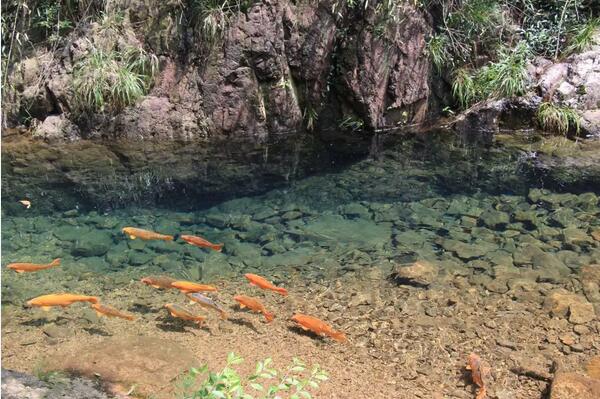 大奇山国家森林公园(图4)