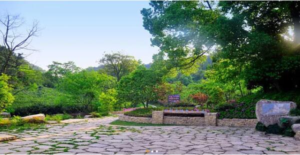 良渚文化村(图3)