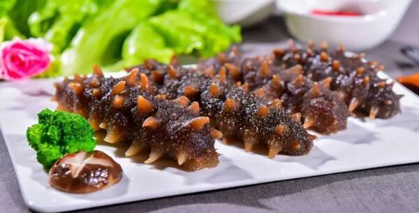 灵山岛海参(图3)