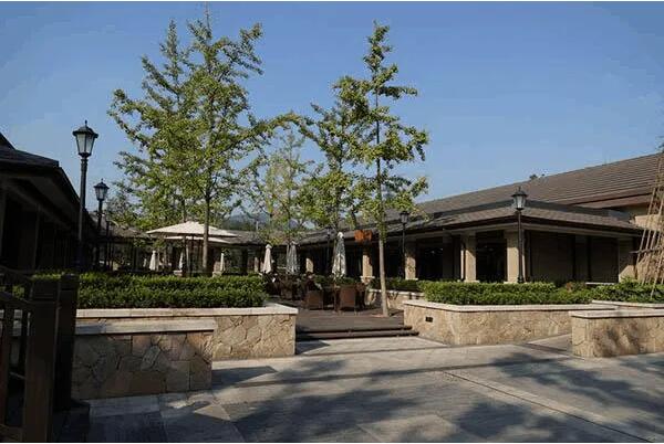 良渚文化村(图2)