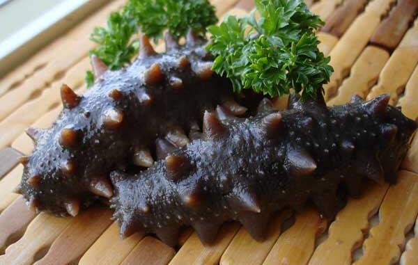 灵山岛海参(图1)