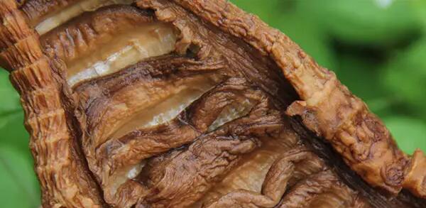 烟笋(图1) 烟笋(图1)